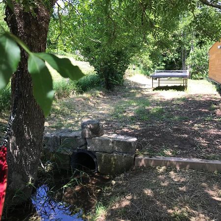 Gite Dans Le Sud Aveyron Saint-Affrique Eksteriør billede